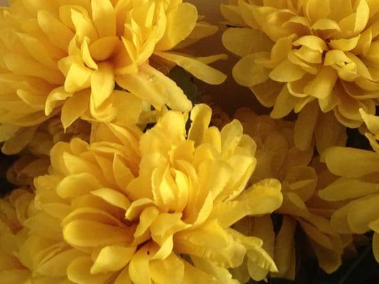 photo of Kristina A.