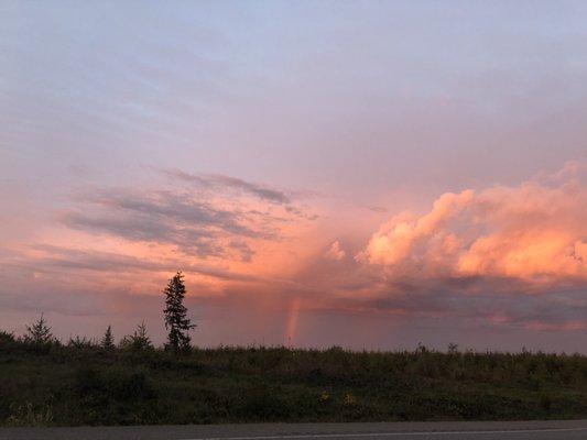 photo of Carolina L.