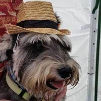 Photo of Kelly P.