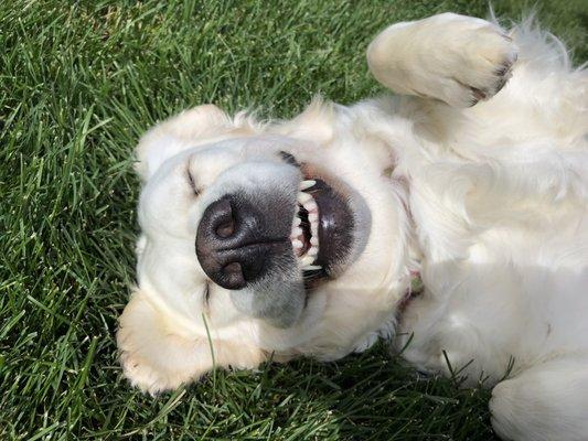 photo of Colorado G.