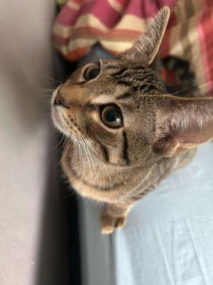 Photo of Olivia L.