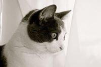 Photo of Rubi C.