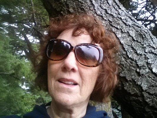 Photo of Diane B.