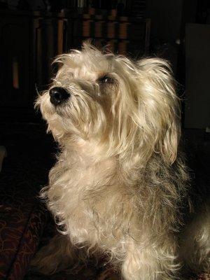 photo of Catherine P.