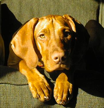 Photo of Mateo H.