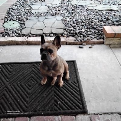 photo of Share Lynn S.