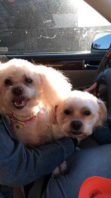 photo of Charmagne K.