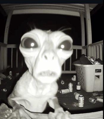 Photo of Lily G.