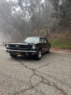 photo of Cristian G.