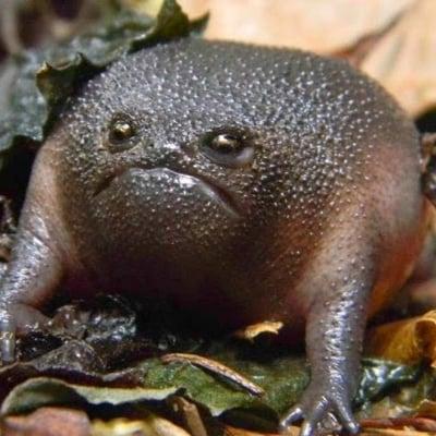 photo of Randoljr23 ..