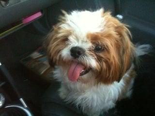 Photo of Trulie M.