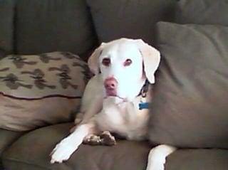 Photo of Marianne W.