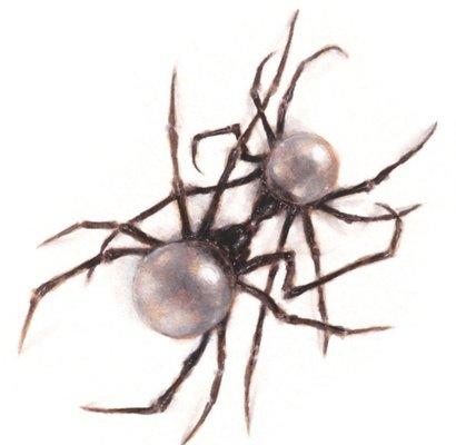 Photo of Sarah H.