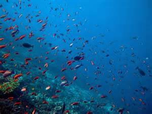 Photo of Elizabeth M.