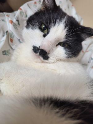 photo of Michelle S.