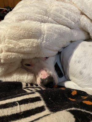 photo of Jim Gallagher