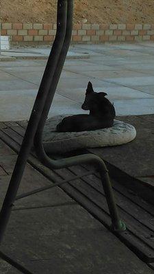 photo of Michelle S.