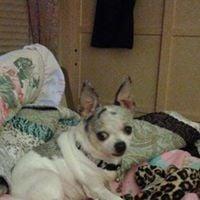 Photo of Cindy M.