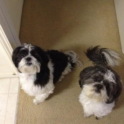 photo of Mariesol G.