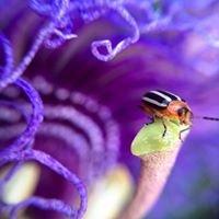 photo of Kimberly F.