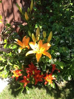 photo of Gabriela A.