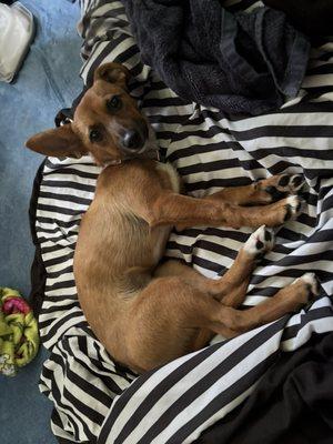 photo of Mikayla R B.