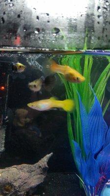 Photo of Dorria M.