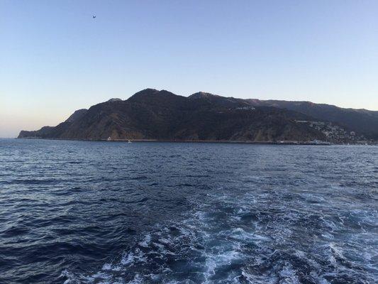 photo of AudreyNicole A.