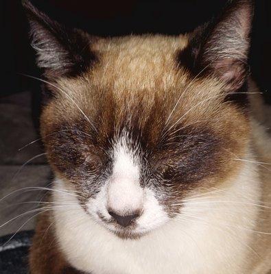 Photo of Kimberly D.