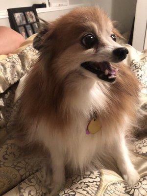 Photo of christin p.