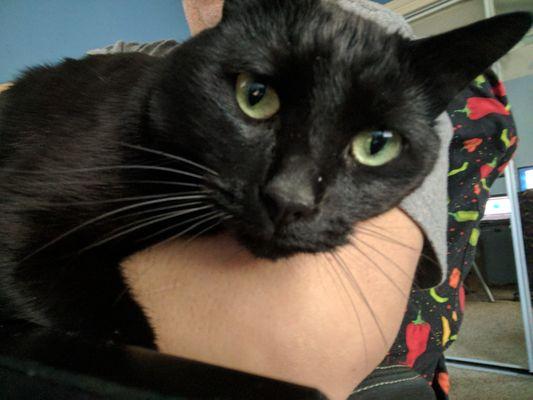 photo of Maria Lee H.