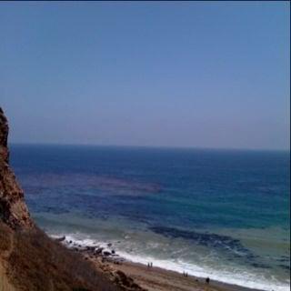 Photo of Tamoo C.
