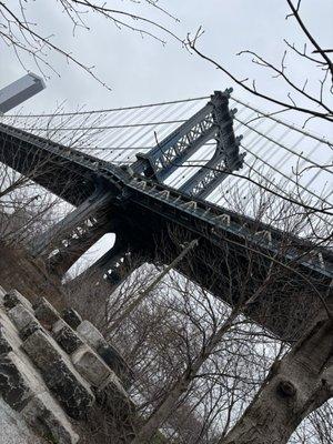 photo of Shinigami D.