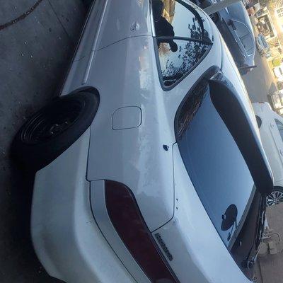 photo of NamPai's_TeggyR T.