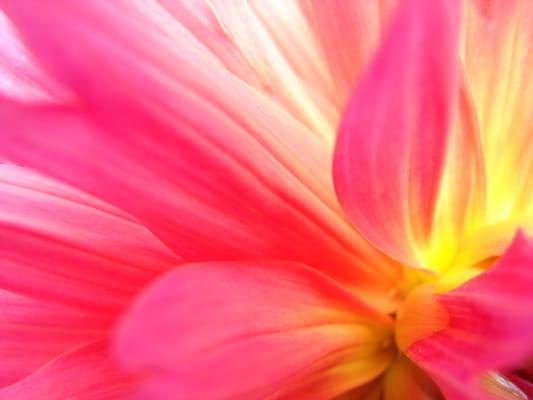 Photo of Michelle L.