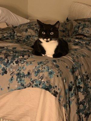 photo of Christina N.