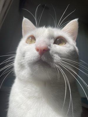 Photo of Jackie P.