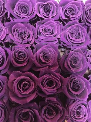 photo of Christine G.