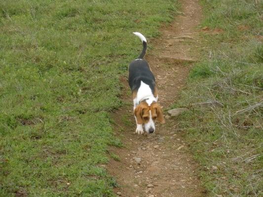 Photo of Macie B.