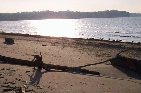 Photo of Catherine M.