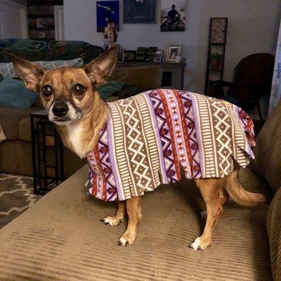 photo of Stephanie L.