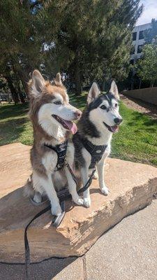 photo of Mary Alora K.