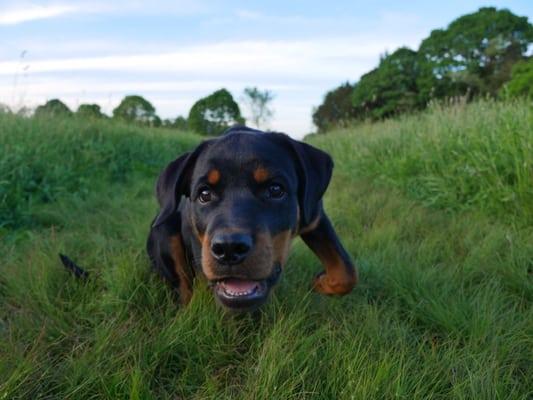 photo of J. Conor D.