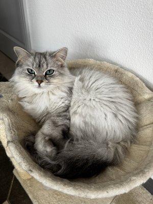 Photo of Isabella K.