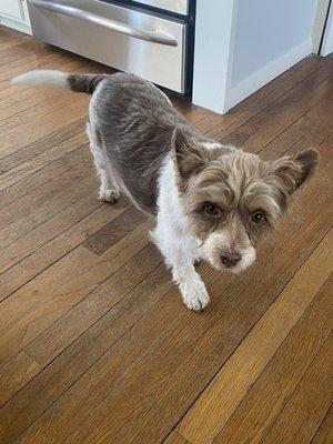 photo of Valentina D.