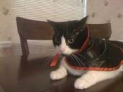 Photo of Jaime Leigh C.