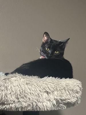 Photo of Emi ..