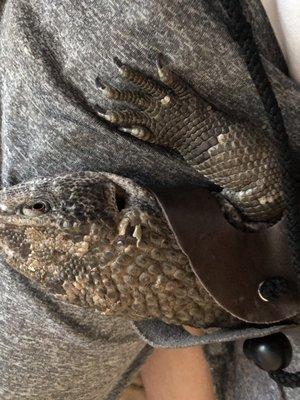 photo of TheDarkFish 6.