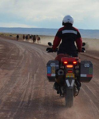 Photo of Christina N.