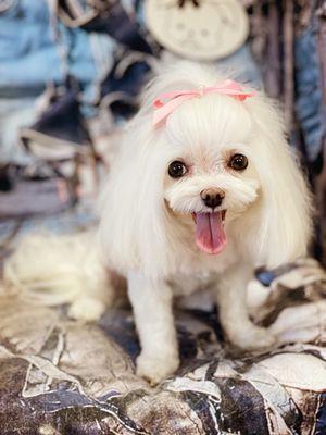 Photo of Viktoria N.